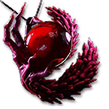 Xoph's Blood