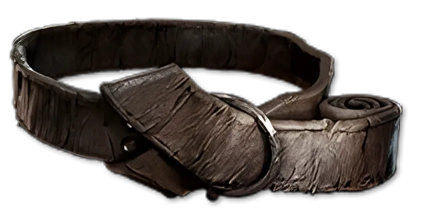 Rawhide Belt