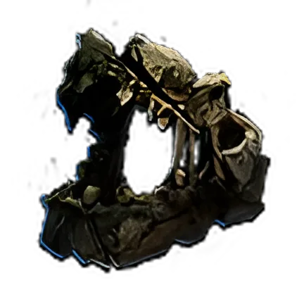 Gnawed Jawbone