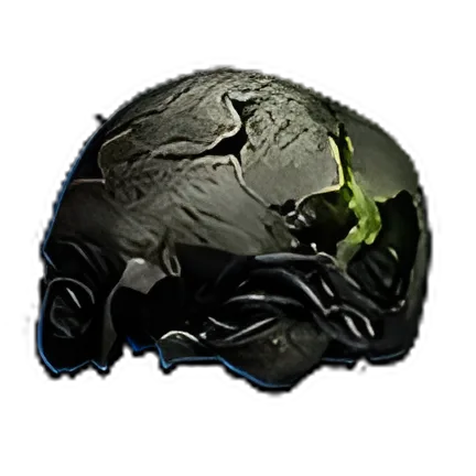 Preserved Cranium