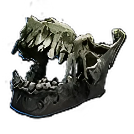 Preserved Jawbone