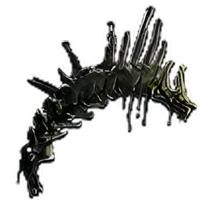 Preserved Vertebrae