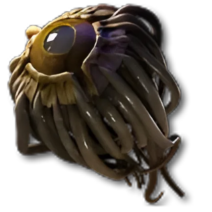 Amanamu's Gaze