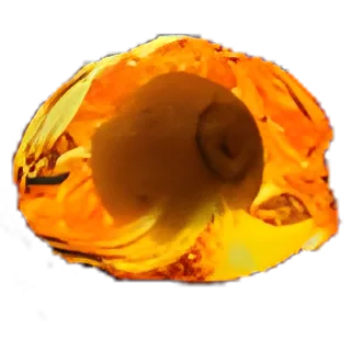 Hollow Fossil