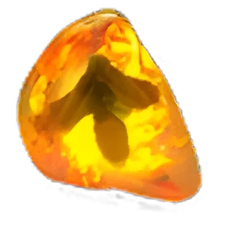 Scorched Fossil