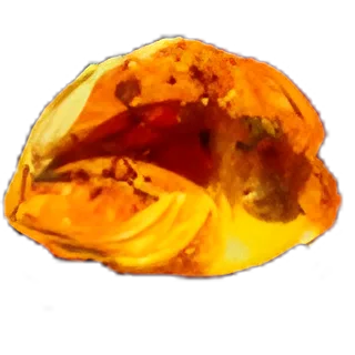 Bloodstained Fossil