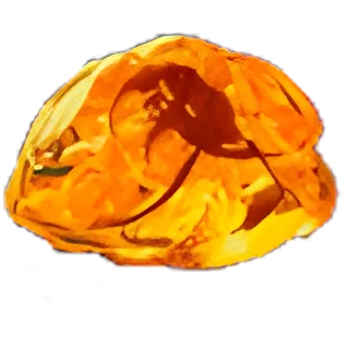 Corroded Fossil