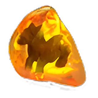 Dense Fossil