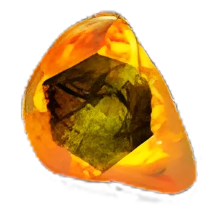 Sanctified Fossil