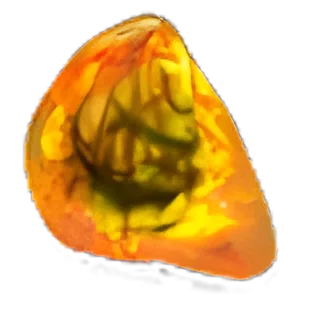 Glyphic Fossil