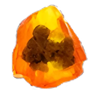 Gilded Fossil