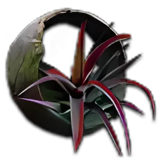 Orb of Horizons