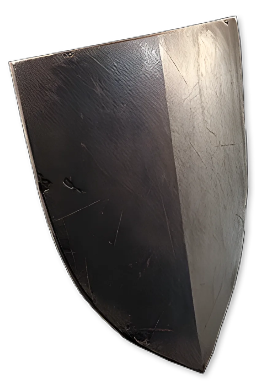 Painted Crest Shield