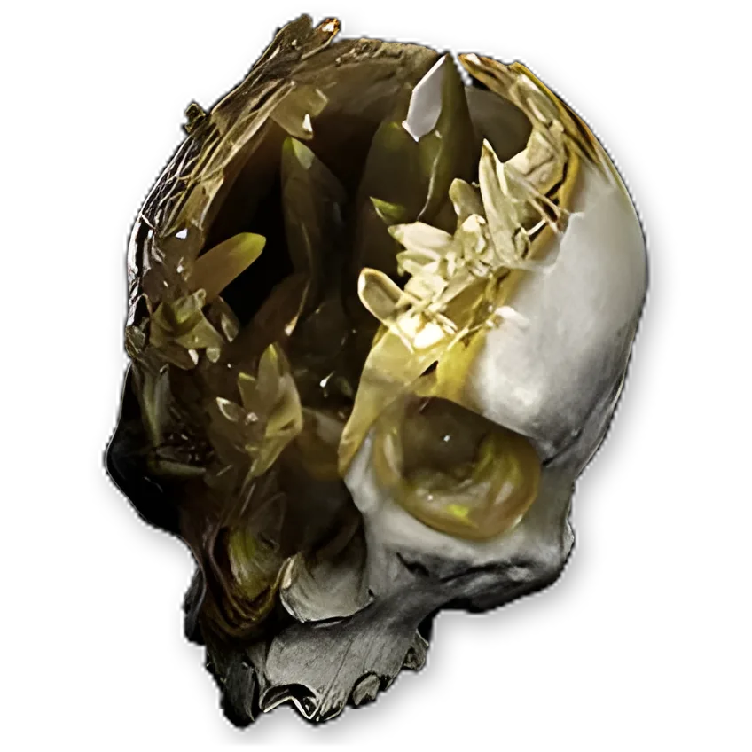 Gemrot Skull