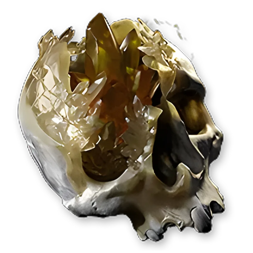 Gemcrust Skull