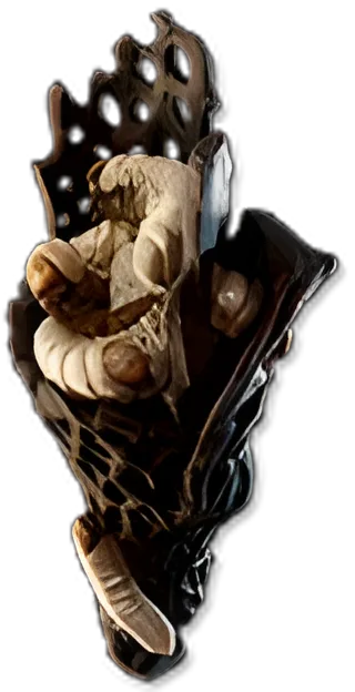 Maggot Husk