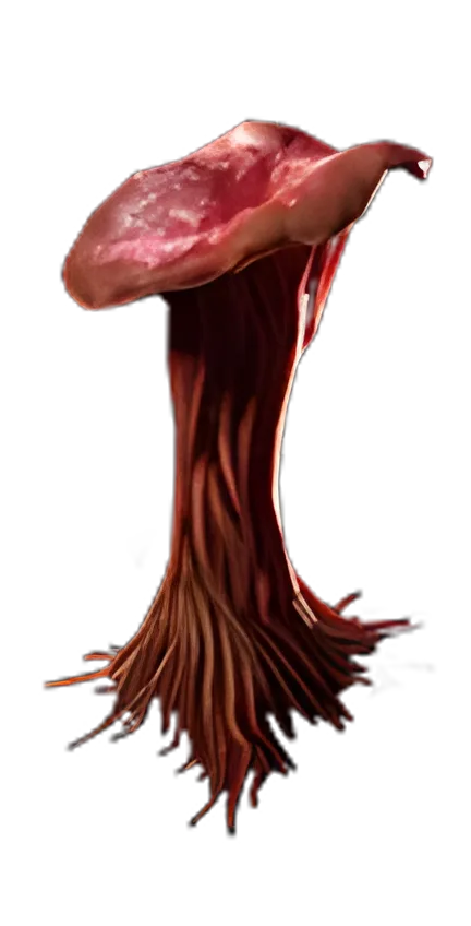Red Mushroom