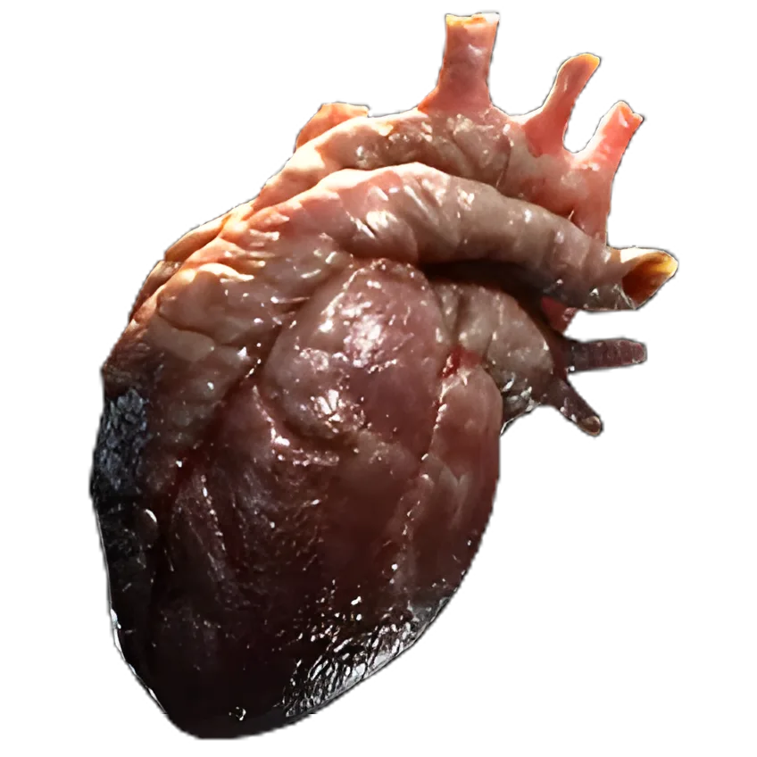 Sacrificial Heart